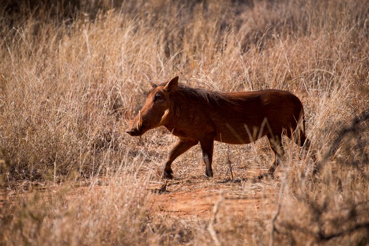 _DSC2578.jpg